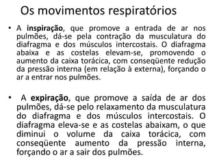 Os movimentos respiratórios
• A inspiração, que promove a entrada de ar nos
  pulmões, dá-se pela contração da musculatura do
  diafragma e dos músculos intercostais. O diafragma
  abaixa e as costelas elevam-se, promovendo o
  aumento da caixa torácica, com conseqüente redução
  da pressão interna (em relação à externa), forçando o
  ar a entrar nos pulmões.

• A expiração, que promove a saída de ar dos
  pulmões, dá-se pelo relaxamento da musculatura
  do diafragma e dos músculos intercostais. O
  diafragma eleva-se e as costelas abaixam, o que
  diminui o volume da caixa torácica, com
  conseqüente aumento da pressão interna,
  forçando o ar a sair dos pulmões.
 