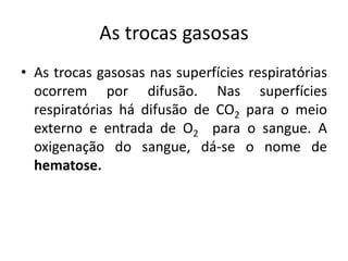 As trocas gasosas
• As trocas gasosas nas superfícies respiratórias
  ocorrem por difusão. Nas superfícies
  respiratórias há difusão de CO2 para o meio
  externo e entrada de O2 para o sangue. A
  oxigenação do sangue, dá-se o nome de
  hematose.
 