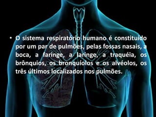 • O sistema respiratório humano é constituído
  por um par de pulmões, pelas fossas nasais, a
  boca, a faringe, a laringe, a traquéia, os
  brônquios, os bronquíolos e os alvéolos, os
  três últimos localizados nos pulmões.
 