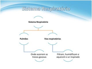 Sistema Respiratório




Pulmões                   Vias respiratórias




            Onde ocorrem as            Filtram, humidificam e
             trocas gasosas            aquecem o ar inspirado
 