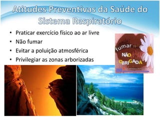 •   Praticar exercício físico ao ar livre
•   Não fumar
•   Evitar a poluição atmosférica
•   Privilegiar as zonas arborizadas
 
