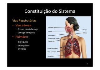 Constituição do Sistema
Vias Respiratórias
• Vias aéreas:
- Fossas nasais,faringe
- Laringe e traquéia
• Pulmões:• Pulmões:
- brônquios
- bronquíolos
- alvéolos
2
 