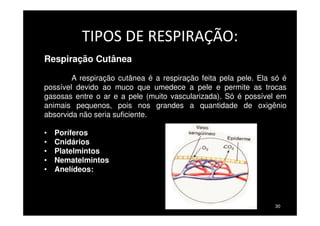 TRANSPORTE DE GASES NO
SANGUE
• HEMOGLOBINA + OXIGÊNIO = OXIEMOGLOBINA.
• 1 HEMÁCIA PODE TER 250 MILHÕES DE HEMOGLOBINAS E
TRASPORTAR 1 BILHÃO DE MOLECULAS DE OXIGÊNIO.
• HEMOGLOBINA + GÁS CARBÔNICO = CARBOEMOGLOBINA
30
 