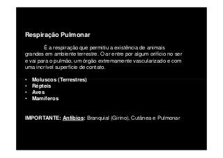 Respiração Pulmonar
É a respiração que permitiu a existência de animais
grandes em ambiente terrestre. O ar entre por algum orifício no ser
e vai para o pulmão, um órgão extremamente vascularizado e com
uma incrível superfície de contato.
• Moluscos (Terrestres)• Moluscos (Terrestres)
• Répteis
• Aves
• Mamíferos
IMPORTANTE: Anfíbios: Branquial (Girino), Cutânea e Pulmonar
 