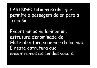 LARINGE: tubo muscular que
permite a passagem do ar para a
traquéia.
Encontramos na laringe um
estrutura denominada de
Encontramos na laringe um
estrutura denominada de
Glote,abertura superior da laringe.
É nesta estrutura que
encontramos as cordas vocais.
 