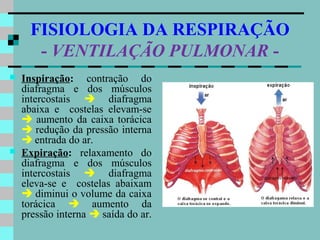 FISIOLOGIA DA RESPIRAÇÃO
       - VENTILAÇÃO PULMONAR -
   Inspiração: contração do
    diafragma e dos músculos
    intercostais  diafragma
    abaixa e costelas elevam-se
     aumento da caixa torácica
     redução da pressão interna
     entrada do ar.
   Expiração: relaxamento do
    diafragma e dos músculos
    intercostais  diafragma
    eleva-se e costelas abaixam
     diminui o volume da caixa
    torácica  aumento da
    pressão interna  saída do ar.
 
