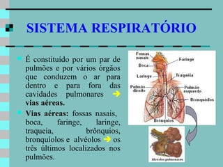 SISTEMA RESPIRATÓRIO

   É constituído por um par de
    pulmões e por vários órgãos
    que conduzem o ar para
    dentro e para fora das
    cavidades pulmonares 
    vias aéreas.
   Vias aéreas: fossas nasais,
    boca,     faringe,    laringe,
    traqueia,          brônquios,
    bronquíolos e alvéolos  os
    três últimos localizados nos
    pulmões.
 