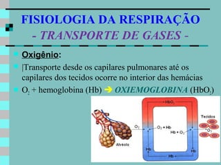 FISIOLOGIA DA RESPIRAÇÃO
      - TRANSPORTE DE GASES -
   Oxigênio:
   |Transporte desde os capilares pulmonares até os
    capilares dos tecidos ocorre no interior das hemácias
   O2 + hemoglobina (Hb)  OXIEMOGLOBINA (HbO2)
 