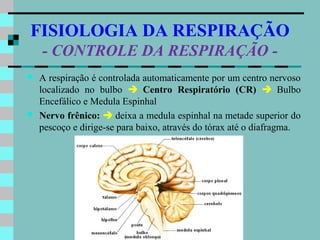 FISIOLOGIA DA RESPIRAÇÃO
    - CONTROLE DA RESPIRAÇÃO -
   A respiração é controlada automaticamente por um centro nervoso
    localizado no bulbo  Centro Respiratório (CR)  Bulbo
    Encefálico e Medula Espinhal
   Nervo frênico:  deixa a medula espinhal na metade superior do
    pescoço e dirige-se para baixo, através do tórax até o diafragma.
 