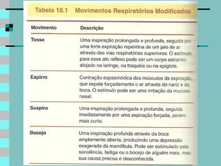 Sistema respiratório