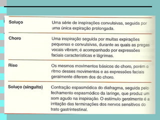 Sistema respiratório
