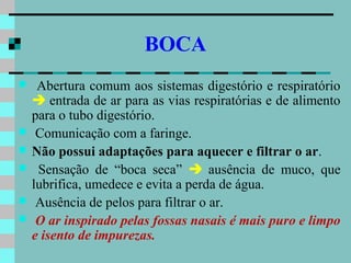 BOCA
    Abertura comum aos sistemas digestório e respiratório
     entrada de ar para as vias respiratórias e de alimento
    para o tubo digestório.
    Comunicação com a faringe.
   Não possui adaptações para aquecer e filtrar o ar.
    Sensação de “boca seca”  ausência de muco, que
    lubrifica, umedece e evita a perda de água.
    Ausência de pelos para filtrar o ar.
    O ar inspirado pelas fossas nasais é mais puro e limpo
    e isento de impurezas.
 
