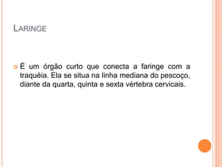 LARINGE
 É um órgão curto que conecta a faringe com a
traquéia. Ela se situa na linha mediana do pescoço,
diante da quarta, quinta e sexta vértebra cervicais.
 