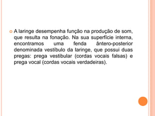 A laringe desempenha função na produção de som,
que resulta na fonação. Na sua superfície interna,
encontramos uma fenda ântero-posterior
denominada vestíbulo da laringe, que possui duas
pregas: prega vestibular (cordas vocais falsas) e
prega vocal (cordas vocais verdadeiras).
 