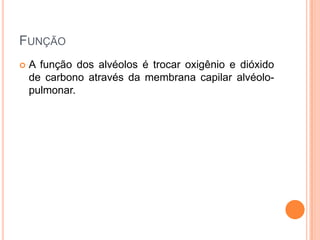 FUNÇÃO
 A função dos alvéolos é trocar oxigênio e dióxido
de carbono através da membrana capilar alvéolo-
pulmonar.
 