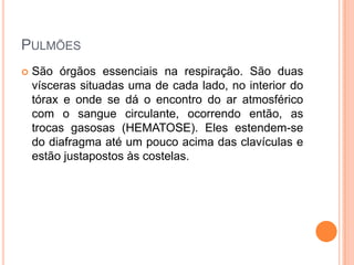 PULMÕES
 São órgãos essenciais na respiração. São duas
vísceras situadas uma de cada lado, no interior do
tórax e onde se dá o encontro do ar atmosférico
com o sangue circulante, ocorrendo então, as
trocas gasosas (HEMATOSE). Eles estendem-se
do diafragma até um pouco acima das clavículas e
estão justapostos às costelas.
 
