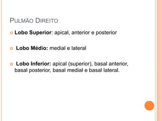 PULMÃO DIREITO
 Lobo Superior: apical, anterior e posterior
 Lobo Médio: medial e lateral
 Lobo Inferior: apical (superior), basal anterior,
basal posterior, basal medial e basal lateral.
 