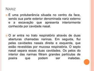 NARIZ
 É uma protuberância situada no centro da face,
sendo sua parte exterior denominada nariz externo
e a escavação que apresenta interiormente
conhecida por cavidade nasal.
 O ar entra no trato respiratório através de duas
aberturas chamadas narinas. Em seguida, flui
pelas cavidades nasais direita e esquerda, que
estão revestidas por mucosa respiratória. O septo
nasal separa essas duas cavidades. Os pelos do
interior das narinas filtram grandes partículas de
poeira que podem ser inaladas.
 
