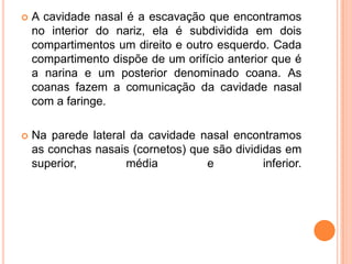  A cavidade nasal é a escavação que encontramos
no interior do nariz, ela é subdividida em dois
compartimentos um direito e outro esquerdo. Cada
compartimento dispõe de um orifício anterior que é
a narina e um posterior denominado coana. As
coanas fazem a comunicação da cavidade nasal
com a faringe.
 Na parede lateral da cavidade nasal encontramos
as conchas nasais (cornetos) que são divididas em
superior, média e inferior.
 