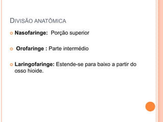 DIVISÃO ANATÔMICA
 Nasofaringe: Porção superior
 Orofaringe : Parte intermédio
 Laringofaringe: Estende-se para baixo a partir do
osso hioide.
 
