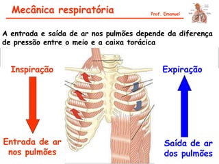 Inspiração
Entrada de ar
nos pulmões
A entrada e saída de ar nos pulmões depende da diferença
de pressão entre o meio e a caixa torácica
Expiração
Saída de ar
dos pulmões
Mecânica respiratória Prof. Emanuel
 