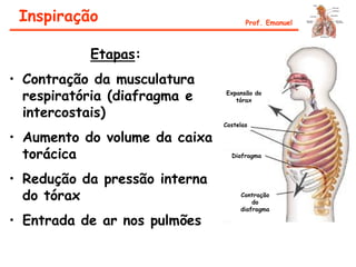 Etapas:
• Contração da musculatura
respiratória (diafragma e
intercostais)
• Aumento do volume da caixa
torácica
• Redução da pressão interna
do tórax
• Entrada de ar nos pulmões
Inspiração Prof. Emanuel
Expansão do
tórax
Costelas
Diafragma
Contração
do
diafragma
 