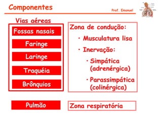 Prof. Emanuel
Fossas nasais
Faringe
Laringe
Traquéia
Brônquios
Pulmão
Vias aéreas
Zona de condução:
• Musculatura lisa
• Inervação:
• Simpática
(adrenérgica)
• Parassimpática
(colinérgica)
Zona respiratória
Componentes
 
