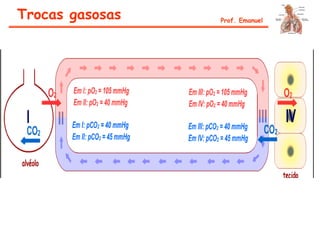 Trocas gasosas Prof. Emanuel
 