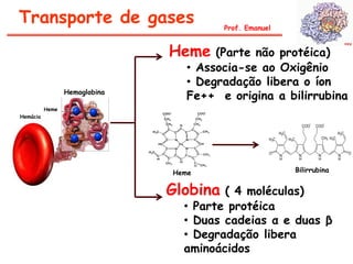 Prof. Emanuel
Hemácia
Heme
Hemoglobina
Heme (Parte não protéica)
• Associa-se ao Oxigênio
• Degradação libera o íon
Fe++ e origina a bilirrubina
Heme Bilirrubina
Globina ( 4 moléculas)
• Parte protéica
• Duas cadeias α e duas β
• Degradação libera
aminoácidos
Transporte de gases
 