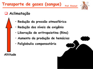 Altitude
 Aclimatação
• Redução da pressão atmosférica
• Redução dos níveis de oxigênio
• Liberação de eritropoietina (Rins)
• Aumento da produção de hemácias
• Poliglobulia compensatória
Transporte de gases (sangue) Prof. Emanuel
 