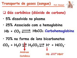  Gás carbônico (dióxido de carbono)
• 5% dissolvido no plasma
• 25% Associado com a hemoglobina
Hb + CO2 HbCO2 Carbohemoglobina
• 70% na forma de íons bicarbonatos
CO2 + H2O H2CO3 H+ + HCO3
-
Anidrase
Carbônica
Hb HbH+
Transporte de gases (sangue) Prof. Emanuel
 
