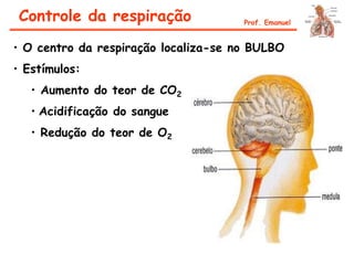 Controle da respiração
• O centro da respiração localiza-se no BULBO
• Estímulos:
• Aumento do teor de CO2
• Acidificação do sangue
• Redução do teor de O2
Prof. Emanuel
 
