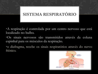 SISTEMA RESPIRATÓRIO
•A respiração é controlada por um centro nervoso que está
localizado no bulbo.
•Os sinais nervosos são transmitidos através da coluna
espinhal para os músculos da respiração.
•o diafragma, recebe os sinais respiratórios através do nervo
frênico.

 