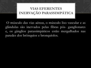 VIAS EFERENTES
INERVAÇÃO PARASSIMPÁTICA
O músculo das vias aéreas, o músculo liso vascular e as
glândulas são inervados pelas fibras pós- ganglionares
e, os gânglios parassimpáticos estão mergulhados nas
paredes dos brônquios e bronquíolos.

 