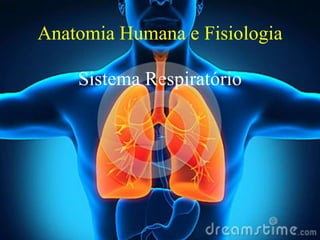 Anatomia Humana e Fisiologia
Sistema Respiratório

 