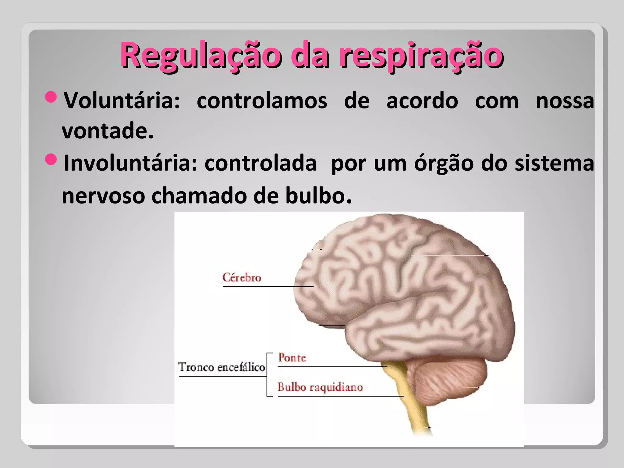 Regulação da respiraçãoRegulação da respiração
Voluntária: controlamos de acordo com nossa
vontade.
Involuntária: controlada por um órgão do sistema
nervoso chamado de bulbo.