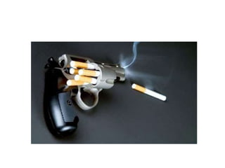 Sistema respiratório