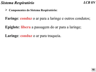 SSiisstteemmaa RReessppiirraattóórriioo LLCCBB 88NN 
➢ Componentes do Sistema Respiratório: 
Faringe: conduz o ar para a laringe e outros condutos; 
Epiglote: libera a passagem do ar para a laringe; 
Laringe: conduz o ar para traqueia. 
1100 
 