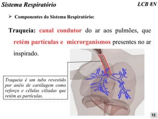 SSiisstteemmaa RReessppiirraattóórriioo LLCCBB 88NN 
➢ Componentes do Sistema Respiratório: 
Traqueia: canal condutor do ar aos pulmões, que 
retém partículas e microrganismos presentes no ar 
inspirado. 
1122 
Traqueia é um tubo revestido 
por anéis de cartilagem como 
reforço e células ciliadas que 
retém as partículas. 
 