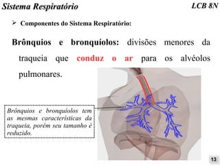 SSiisstteemmaa RReessppiirraattóórriioo LLCCBB 88NN 
➢ Componentes do Sistema Respiratório: 
Brônquios e bronquíolos: divisões menores da 
traqueia que conduz o ar para os alvéolos 
pulmonares. 
1133 
Brônquios e bronquíolos tem 
as mesmas características da 
traqueia, porém seu tamanho é 
reduzido. 
 