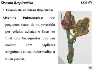 SSiisstteemmaa RReessppiirraattóórriioo LLCCBB 88NN 
➢ Componentes do Sistema Respiratório: 
Alvéolos Pulmonares: são 
pequenos sacos de ar, revestido 
por células achatas e finas ao 
final dos bronquíolos que em 
contato com capilares 
sanguíneos ao seu redor realiza a 
troca gasosa. 
1155 
 