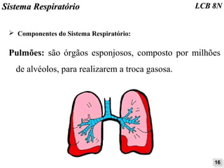 SSiisstteemmaa RReessppiirraattóórriioo LLCCBB 88NN 
➢ Componentes do Sistema Respiratório: 
Pulmões: são órgãos esponjosos, composto por milhões 
de alvéolos, para realizarem a troca gasosa. 
1166 
 