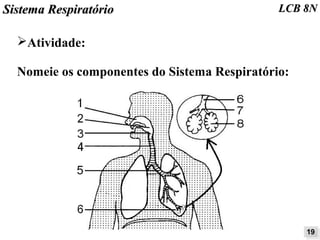 SSiisstteemmaa RReessppiirraattóórriioo LLCCBB 88NN 
➢Atividade: 
Nomeie os componentes do Sistema Respiratório: 
1199 
