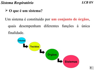 SSiisstteemmaa RReessppiirraattóórriioo LLCCBB 88NN 
➢ O que é um sistema? 
Um sistema é constituído por um conjunto de órgãos, 
quais desempenham diferentes funções à única 
finalidade. 
Células 
Tecidos 
Órgãos 
Sistemas 
22 
 