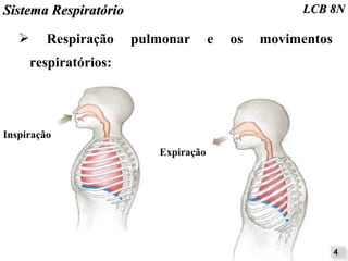 SSiisstteemmaa RReessppiirraattóórriioo LLCCBB 88NN 
➢ Respiração pulmonar e os movimentos 
respiratórios: 
44 
Inspiração 
Expiração 
 