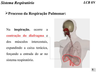 SSiisstteemmaa RReessppiirraattóórriioo LLCCBB 88NN 
➢Processo da Respiração Pulmonar: 
55 
Na inspiração, ocorre a 
contração do diafragma e 
dos músculos intercostais, 
expandindo a caixa torácica, 
forçando a entrada do ar no 
sistema respiratório. 
 