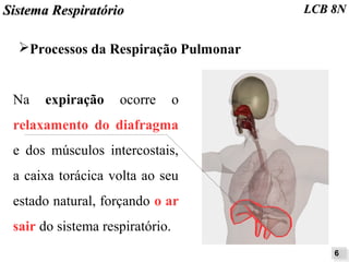 SSiisstteemmaa RReessppiirraattóórriioo LLCCBB 88NN 
➢Processos da Respiração Pulmonar 
66 
Na expiração ocorre o 
relaxamento do diafragma 
e dos músculos intercostais, 
a caixa torácica volta ao seu 
estado natural, forçando o ar 
sair do sistema respiratório. 
 