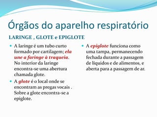 Órgãos do aparelho respiratório
LARINGE , GLOTE e EPIGLOTE
 A laringe é um tubo curto
formado por cartilagem; ela
une a faringe à traqueia.
No interior da laringe
encontra-se uma abertura
chamada glote.
 A glote é o local onde se
encontram as pregas vocais .
Sobre a glote encontra-se a
epiglote.
 A epiglote funciona como
uma tampa, permanecendo
fechada durante a passagem
de líquidos e de alimentos, e
aberta para a passagem de ar.
 
