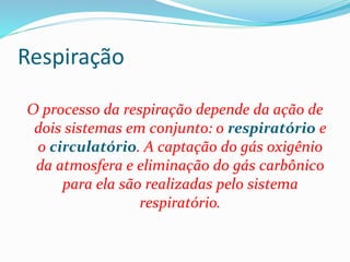Respiração
O processo da respiração depende da ação de
dois sistemas em conjunto: o respiratório e
o circulatório. A captação do gás oxigênio
da atmosfera e eliminação do gás carbônico
para ela são realizadas pelo sistema
respiratório.
 