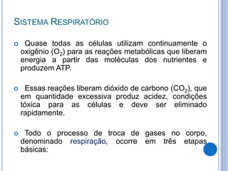 SISTEMA RESPIRATÓRIO
 Quase todas as células utilizam continuamente o
oxigênio (O2) para as reações metabólicas que liberam
energia a partir das moléculas dos nutrientes e
produzem ATP.
 Essas reações liberam dióxido de carbono (CO2), que
em quantidade excessiva produz acidez, condições
tóxica para as células e deve ser eliminado
rapidamente.
 Todo o processo de troca de gases no corpo,
denominado respiração, ocorre em três etapas
básicas:
 